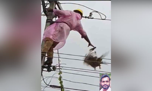 ചിറകടിച്ചു പറന്നത് ഷിജുവിന്റെ സഹജീവി സ്നേഹം