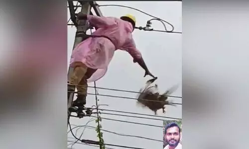 ചിറകടിച്ചു പറന്നത് ഷിജുവിന്റെ സഹജീവി സ്നേഹം