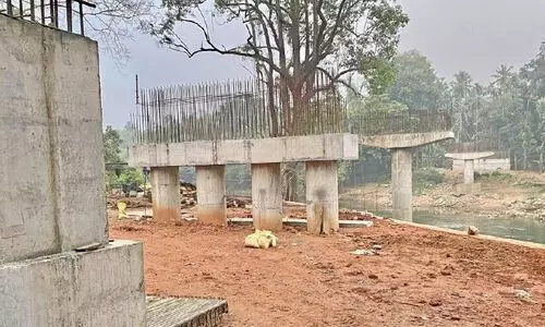 ഒരു തൂണ് നിർമാണം ബാക്കി: തോട്ടത്താങ്കണ്ടിക്കടവ് പാലം വൈകുന്നു