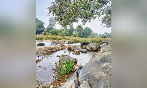 ഹരിത ഗ്രാമത്തിൽ വരുന്നു...ബ്രിഡ്ജ് ടൂറിസം പദ്ധതി
