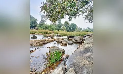 ഹരിത ഗ്രാമത്തിൽ വരുന്നു...ബ്രിഡ്ജ് ടൂറിസം പദ്ധതി