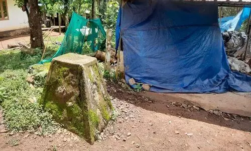 പാട്ടക്കാലാവധി പുതുക്കൽ; ആശങ്കയേറ്റി വനംവകുപ്പ് റീസർവേ