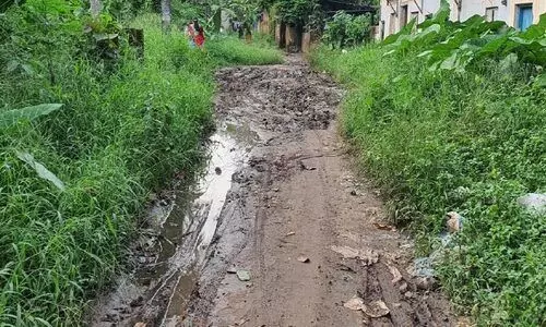 കാൽനടക്കുപോലും കഴിയാതെ തൈക്കാപ്പള്ളി പഴയറോഡ്