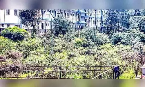 ശബരിനന്ദനം പൂന്തോട്ടം നശിക്കുന്നു