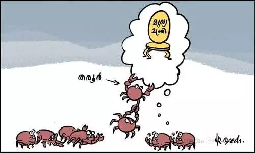 കാലുവാരൽ