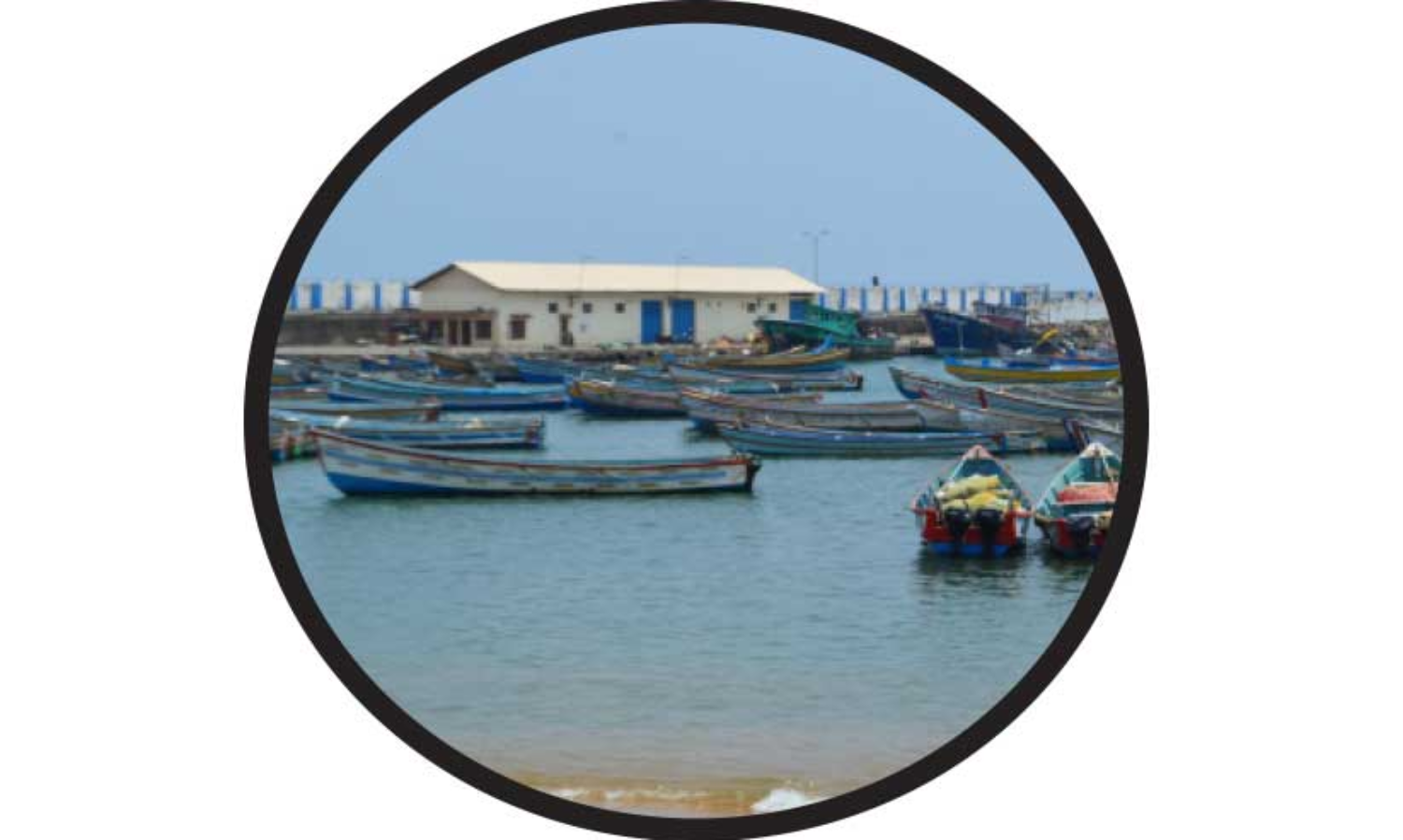 വിഴിഞ്ഞം ഒത്തുതീർപ്പ് ഇങ്ങനെ