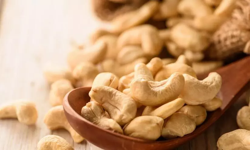 cashew industry cashew industry