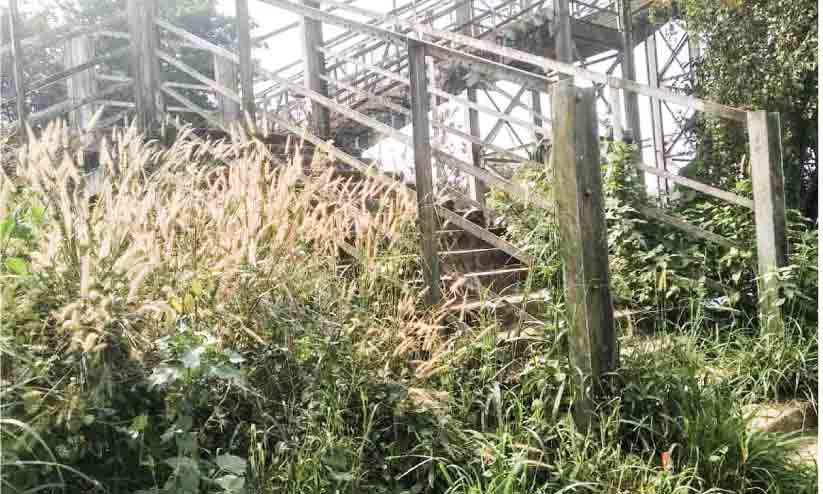 പറളി റെയിൽവേ സ്റ്റേഷൻ പരിസരം കാട് മൂടി; ഭീതിയോടെ യാത്രക്കാർ പറളി റെയിൽവേ സ്റ്റേഷൻ പരിസരം കാട് മൂടി; ഭീതിയോടെ യാത്രക്കാർ