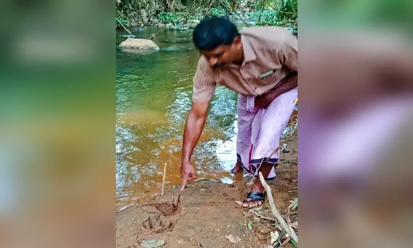 അറിഞ്ഞത് നേരാ...ഇറങ്ങിയത് കടുവ തന്നെ അറിഞ്ഞത് നേരാ...ഇറങ്ങിയത് കടുവ തന്നെ