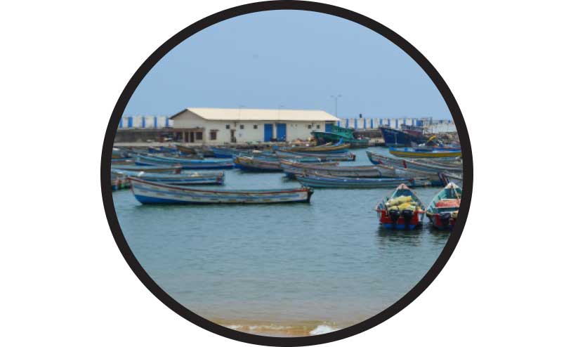 വിഴിഞ്ഞം ഒത്തുതീർപ്പ് ഇങ്ങനെ വിഴിഞ്ഞം ഒത്തുതീർപ്പ് ഇങ്ങനെ