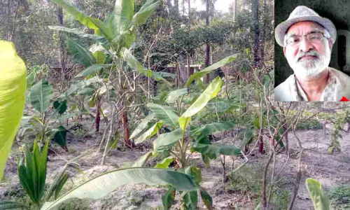ഡോ. എൻ.എസ്. കൈമളിന്റെ വിയോഗം; അനാഥമായി ഈ കൃഷിയിടങ്ങൾ
