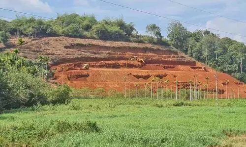 അനധികൃത കുന്നിടിക്കല്‍;  മണ്ണുമാന്തിയന്ത്രങ്ങള്‍ പിടികൂടി