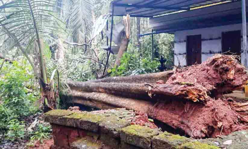 കാ​റ്റും മ​ഴ​യും; ആ​ന​ക്ക​ര മേ​ഖ​ല​യി​ല്‍ നാ​ശ​ന​ഷ്ടം