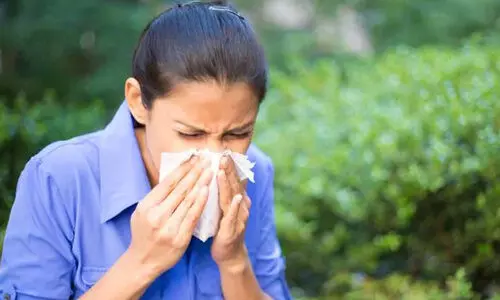 അലർജി നിസാരക്കാരനല്ല; അകറ്റി നിർത്താം, ഇക്കാര്യങ്ങൾ ശ്രദ്ധിച്ചാൽ