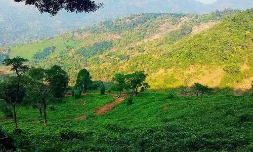 സഞ്ചാരികളെ മതിലേരിത്തട്ടിലേക്ക് വരൂ...