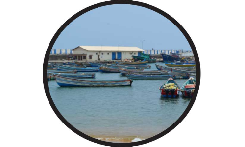 വിഴിഞ്ഞം ഒത്തുതീർപ്പ് ഇങ്ങനെ