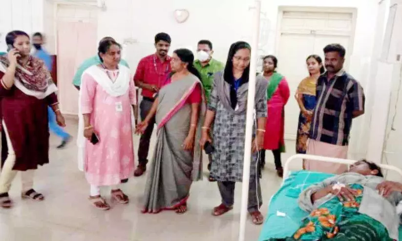 തൊഴിലുറപ്പ് ജോലിക്കിടെ 25 പേർക്ക് കടന്നൽക്കുത്തേറ്റു