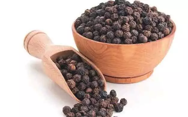 വിലയിടിഞ്ഞ് കുരുമുളക്​ ആശങ്കയിൽ കർഷകർ