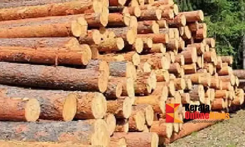 മരം മുറിയുമായി ബന്ധപ്പെട്ട് 776 കേസുകൾ രജിസ്റ്റർ ചെയ്തുവെന്ന് എ.കെ ശശീന്ദ്രൻ