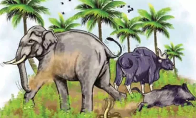 വന്യജീവി ആക്രമണം: കാലാവധി തീർന്നു, ഇൻഷുറൻസ് പരിരക്ഷയില്ലാതെ പട്ടികവർഗക്കാർ