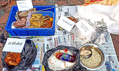 കളമശ്ശേരിയിൽ പഴകിയ ഭക്ഷണവും നിരോധിത പ്ലാസ്റ്റിക്കും പിടികൂടി
