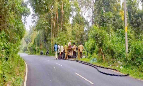 മുടക്കമില്ലാതിനി വൈദ്യുതി