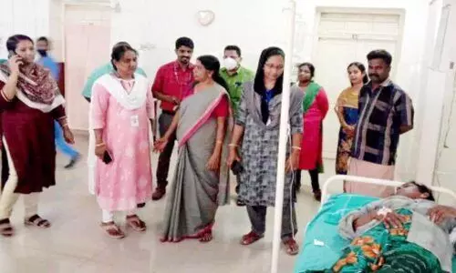 തൊഴിലുറപ്പ് ജോലിക്കിടെ 25 പേർക്ക് കടന്നൽക്കുത്തേറ്റു