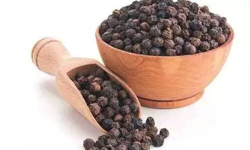 വിലയിടിഞ്ഞ് കുരുമുളക്​ ആശങ്കയിൽ കർഷകർ