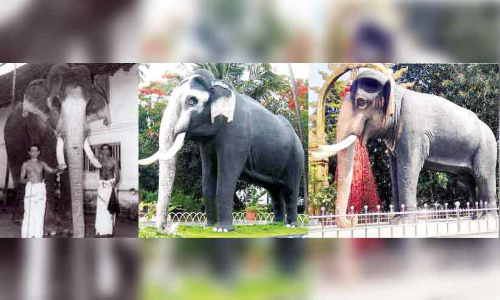 ഗുരുവായൂര് കേശവന് ഇങ്ങനെയായിരുന്നോ... ഗുരുവായൂര് കേശവന് ഇങ്ങനെയായിരുന്നോ...