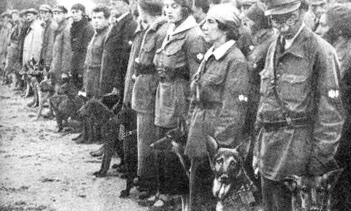 Anti tank dogs Soviet military dog training