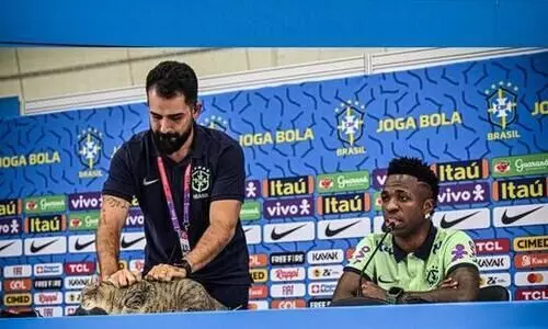 വിനീഷ്യസിന്റെ വാർത്തസമ്മേളനത്തിൽ ക്ഷണിതാവായി പൂച്ചയും; പിടിച്ചുപുറത്തിട്ട് മീഡിയ ഓഫീസർ, വിമർശനം