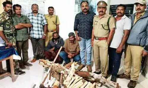 ചന്ദനം വെട്ടിക്കടത്താൻ ശ്രമം; രണ്ടുപേർ അറസ്റ്റിൽ