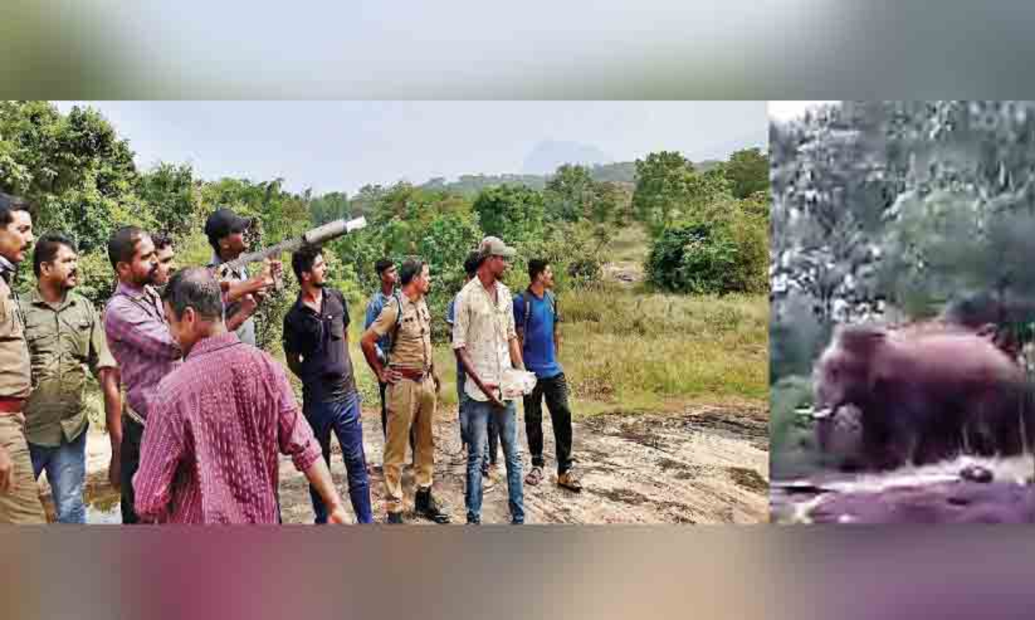 വേലങ്കാടിനെ വിറപ്പിച്ച് കാട്ടാന