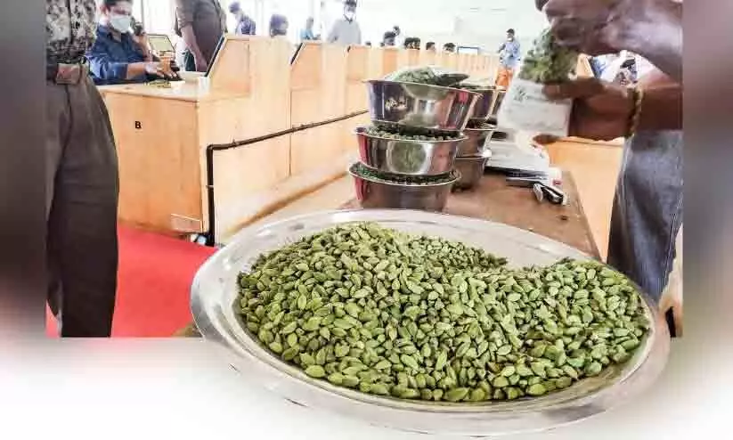 സ്പൈസസ് ബോർഡിന്‍റെ പ്രത്യേക ഏലക്ക ഇ-ലേലം 24ന്