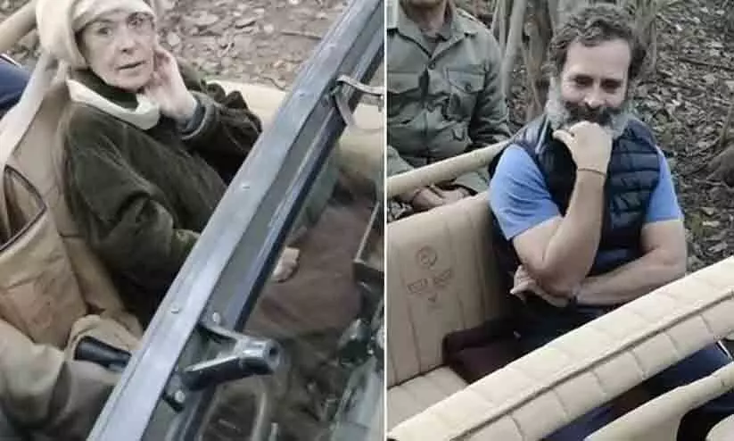 Sonia Gandhi, Rahul Gandhi