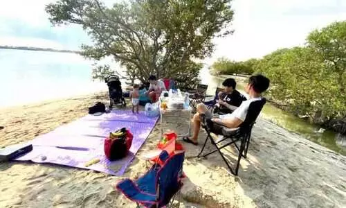 മെസ്സിയോ വാൻഡൈകോ? ഡേവിഡിന് ഉറപ്പുപറയാൻ വയ്യ...