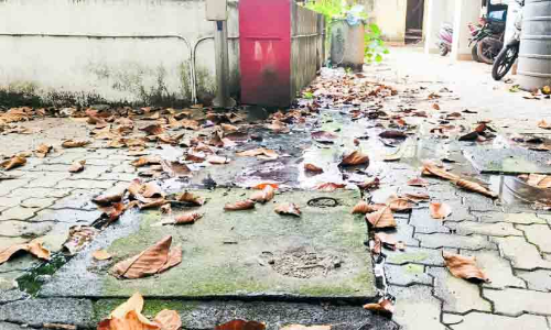 ദുർഗന്ധംപരത്തി ഹരിപ്പാട് റവന്യൂ ടവർ ദുർഗന്ധംപരത്തി ഹരിപ്പാട് റവന്യൂ ടവർ