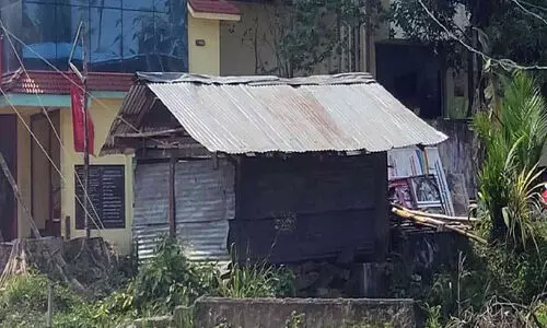 party office built in the place where the trees have been cut