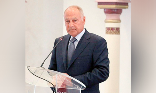 Arab-China summit will reflect political will - Arab League