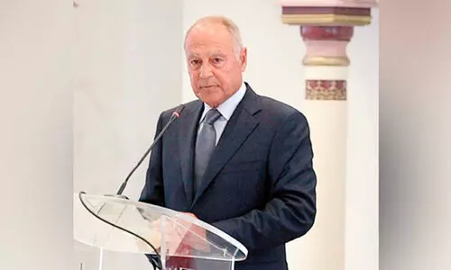 Arab-China summit will reflect political will - Arab League