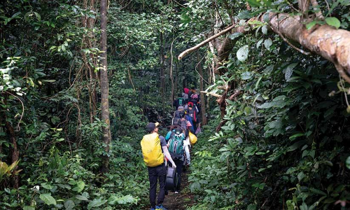 വിനോദം മാത്രമല്ല, ആരോഗ്യത്തിലേക്കുള്ള ചുവടുവെപ്പ് കൂടിയാണ് ട്രക്കിങ്...