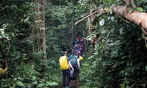 വിനോദം മാത്രമല്ല, ആരോഗ്യത്തിലേക്കുള്ള ചുവടുവെപ്പ് കൂടിയാണ് ട്രക്കിങ്...