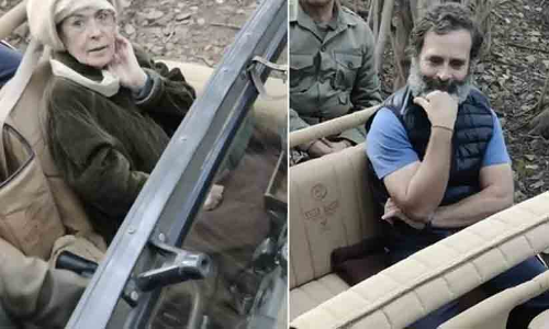 Sonia Gandhi, Rahul Gandhi