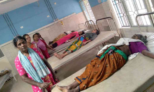 wasp sting; 22 people were injured