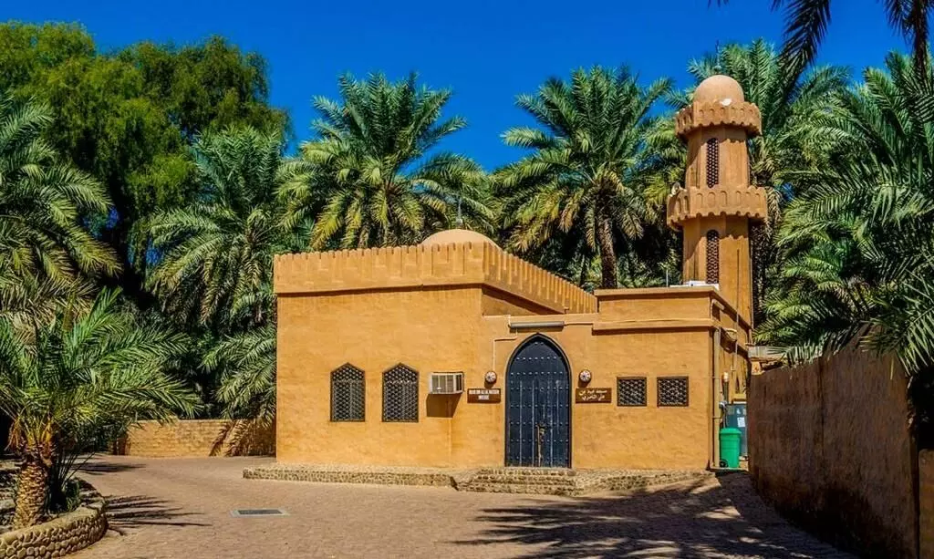 Al Ain Oasis Al Ain Oasis