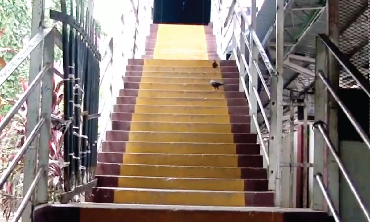 നി​വേ​ദ​ന​ങ്ങ​ൾ ഫ​ലം ക​ണ്ടു; റെ​യി​ൽ​വേ ന​ട​പ്പാ​ലം തു​റ​ന്നു