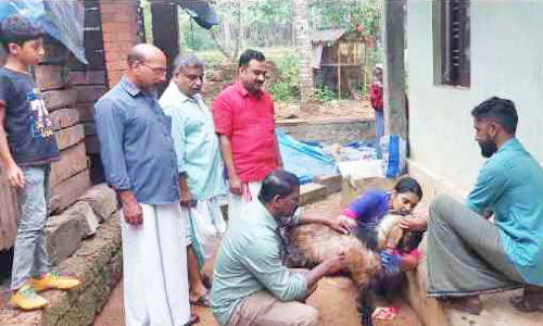 ആടുകളിലെ അജ്ഞാത രോഗം: പരിശോധന നടത്തി