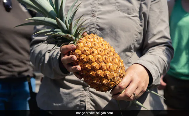 Worlds Most Expensive Pineapple