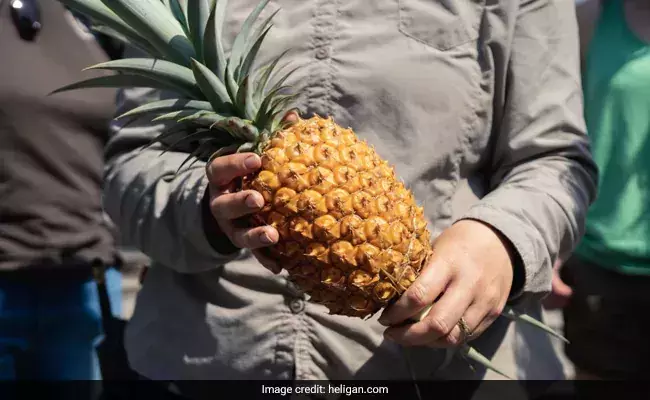 Worlds Most Expensive Pineapple