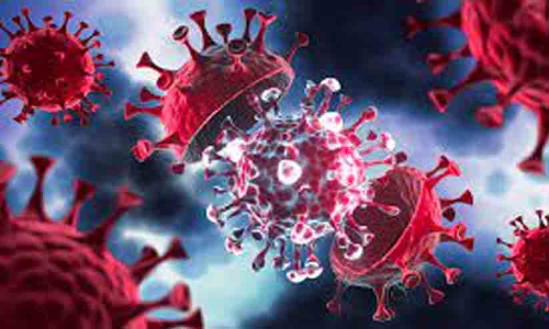 കുടിവെള്ളം മലിനം; ആലപ്പുഴയിൽ നോറാ -എന്ററോ വൈറസുകൾ സ്ഥിരീകരിച്ചു കുടിവെള്ളം മലിനം; ആലപ്പുഴയിൽ നോറാ -എന്ററോ വൈറസുകൾ സ്ഥിരീകരിച്ചു